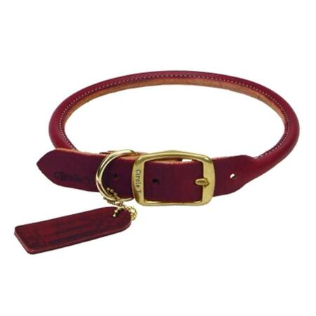 REGENT PRODUCTS Coastal Pet Products 1 in. x 24 in. 2208 Latigo Round Collar CT12134